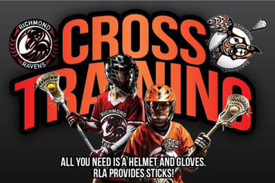 Ravens Blog Post Images (1)