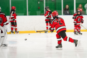 ravens players playing hockey